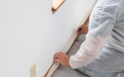 How to Paint Baseboards with Carpet